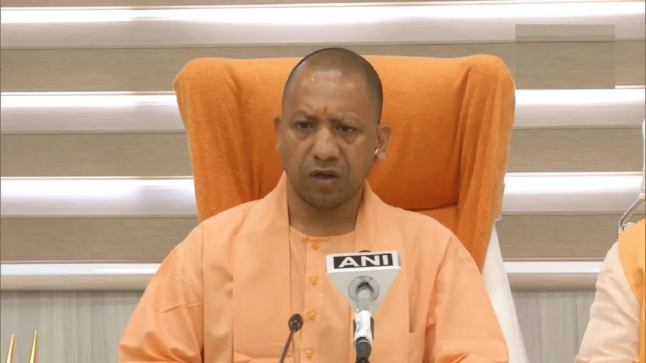 yogi