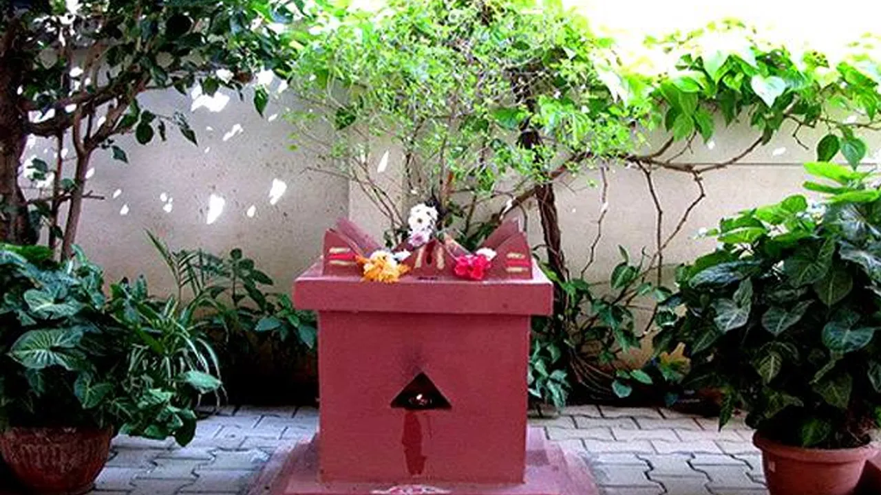tulsi plant vastu tips
