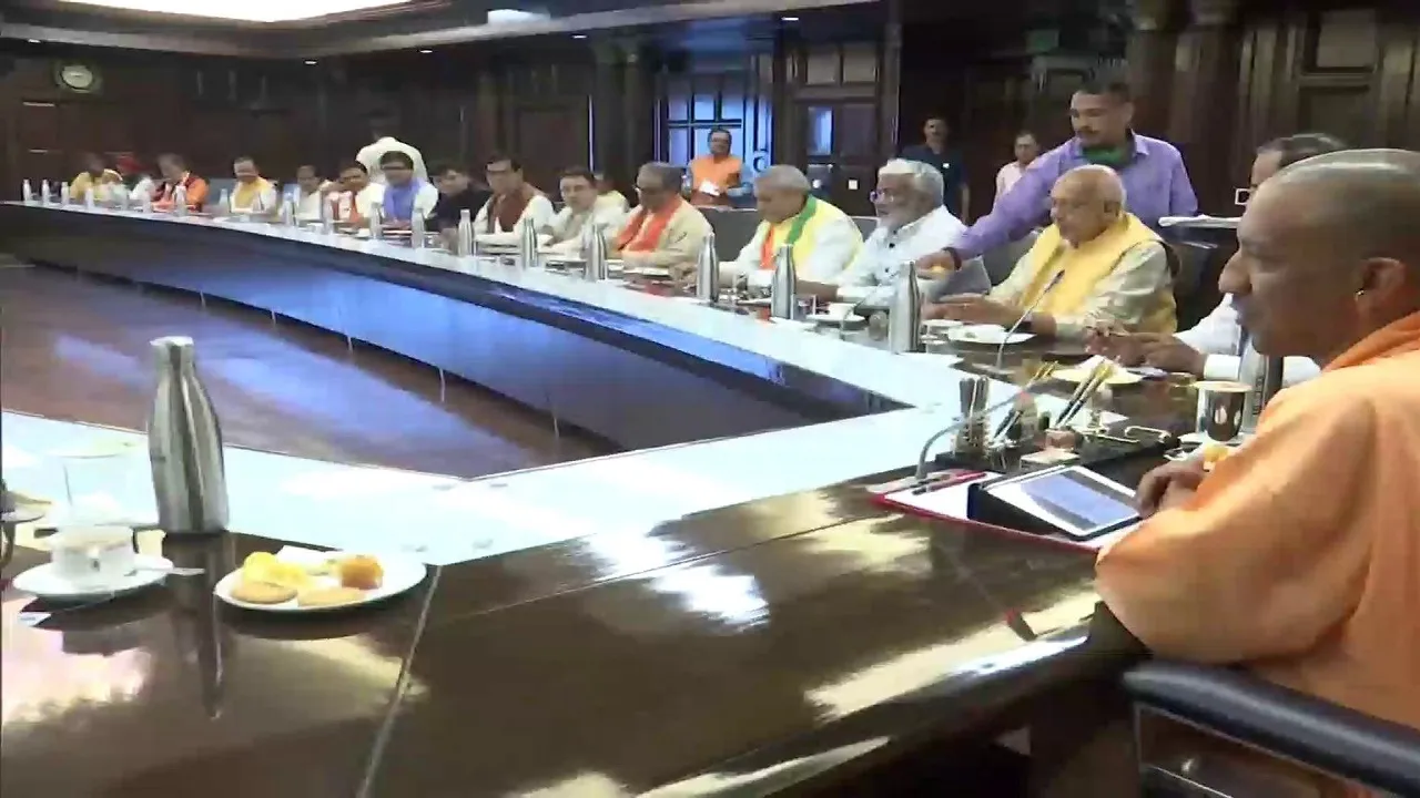 yogi cabinet