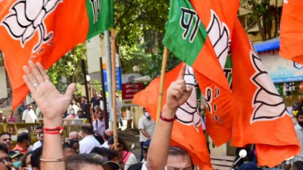 Bochaha Byelections