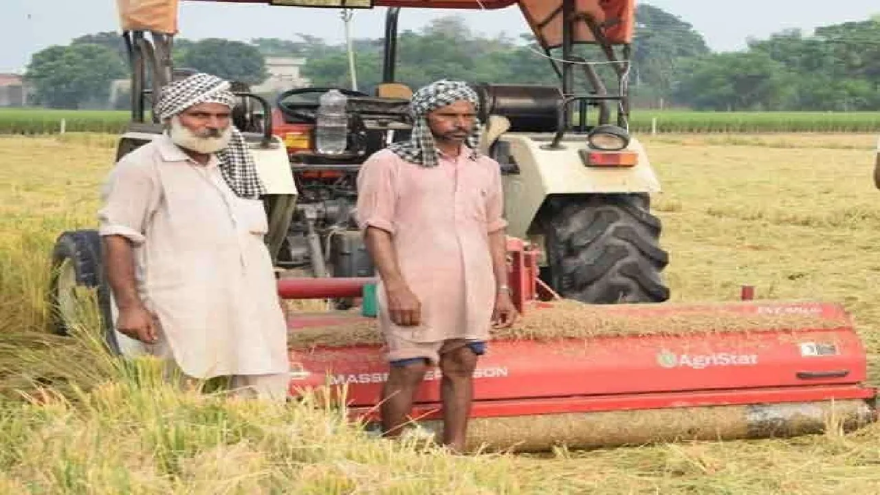Punjab farmer