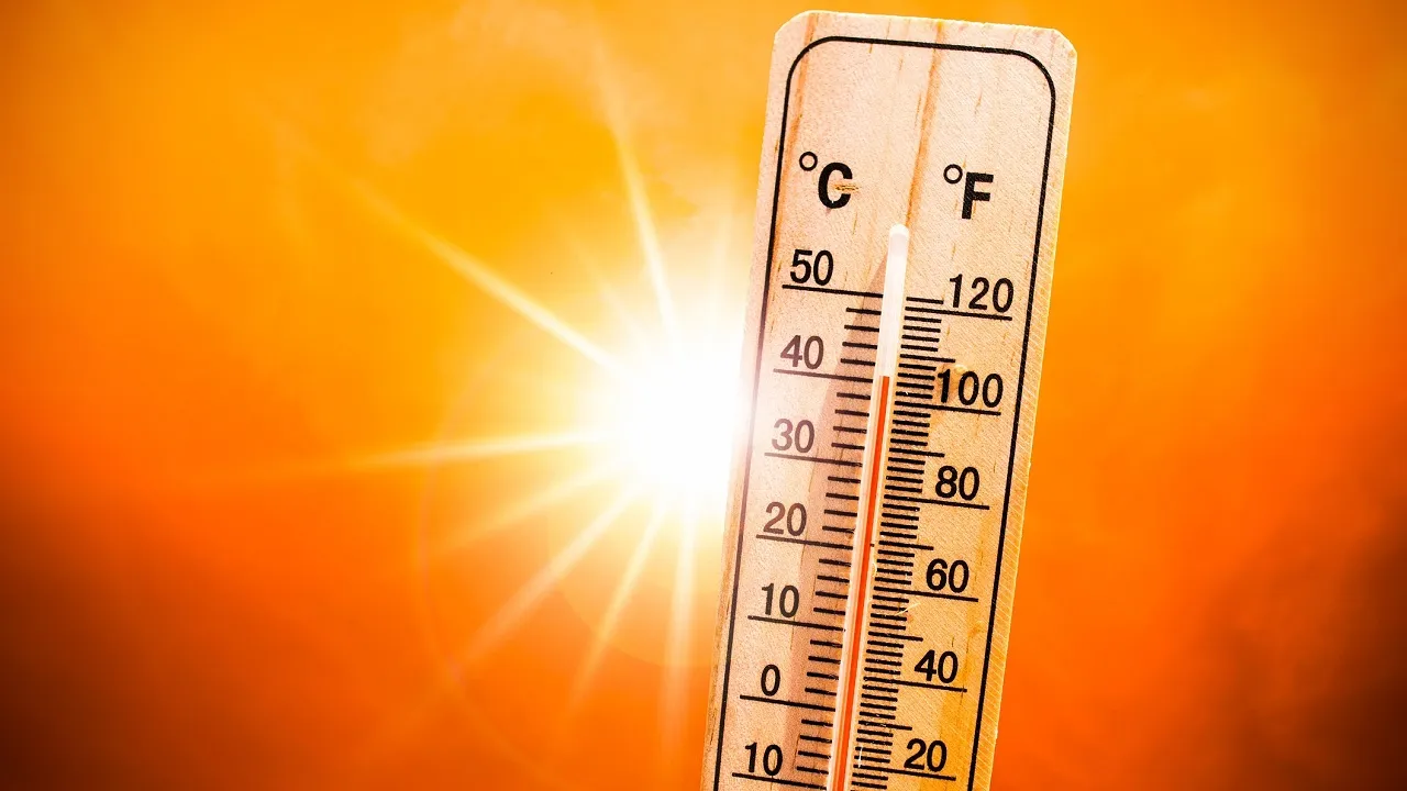 temp