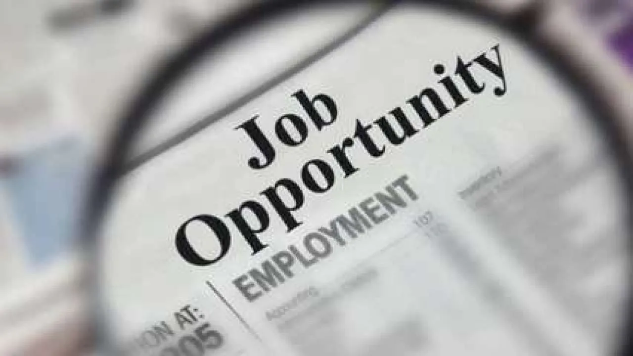1005585 993268 jobs 6
