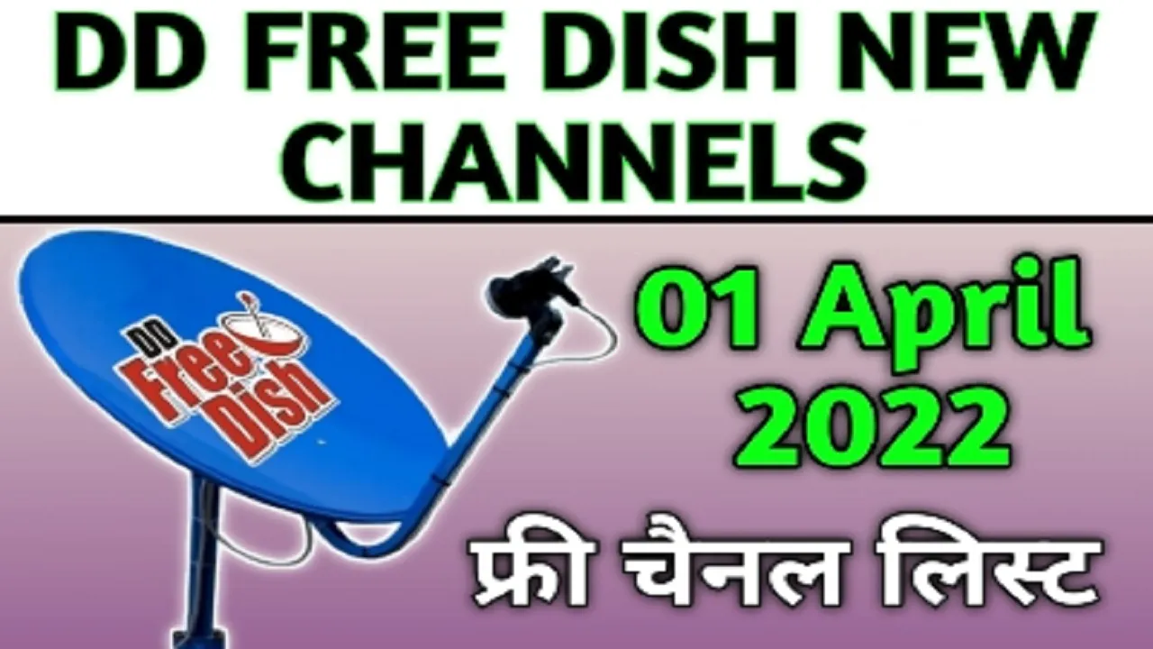 FREE DISH