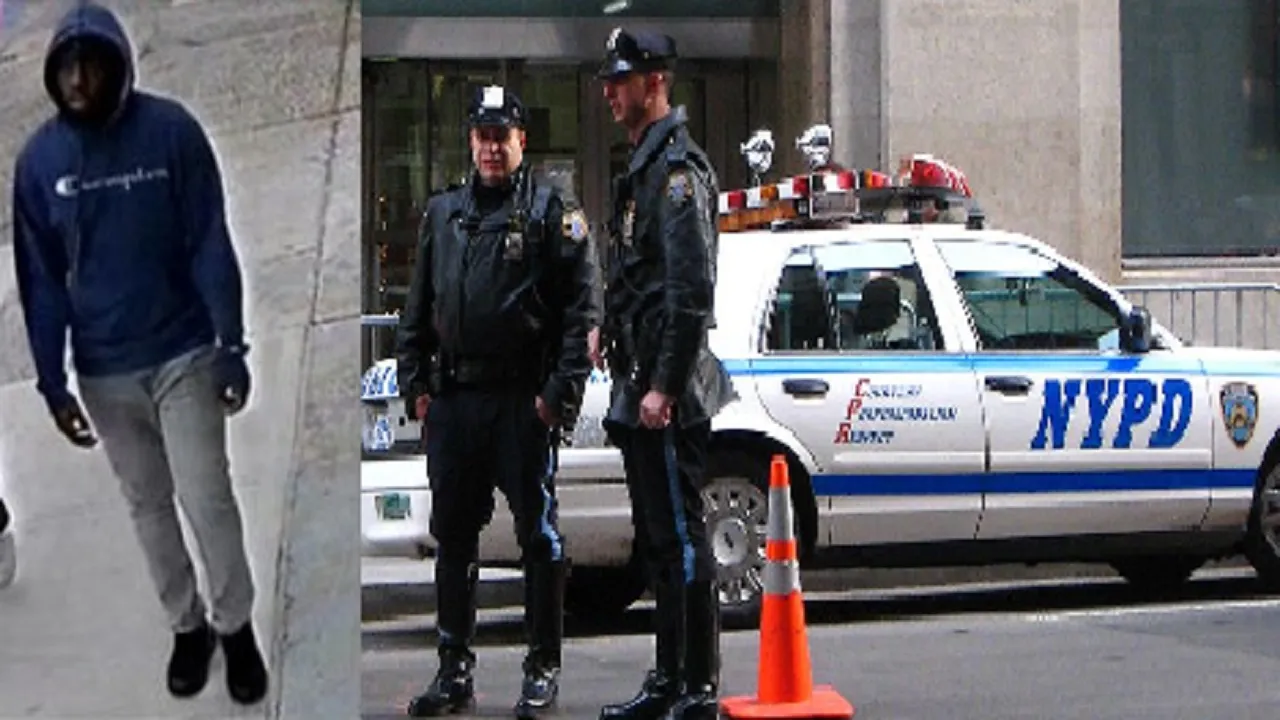 nw police