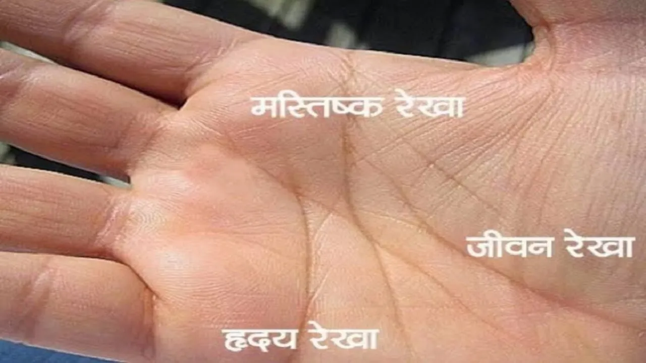 Palmistry