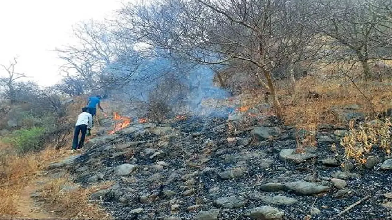 Sajjangarh forest area
