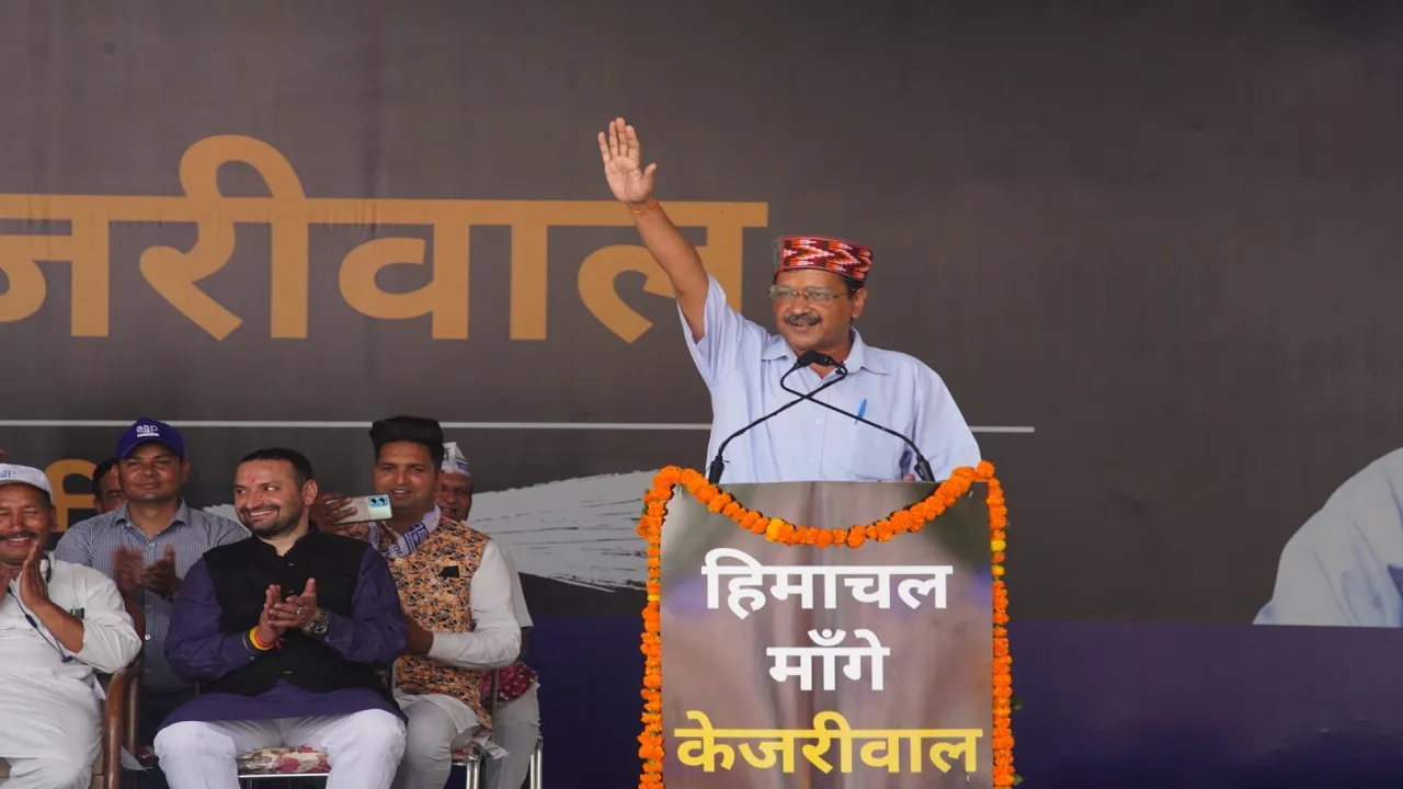 AAP News