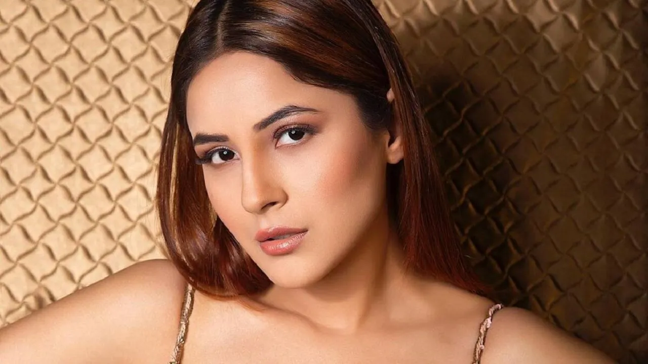 shehnaaz gill