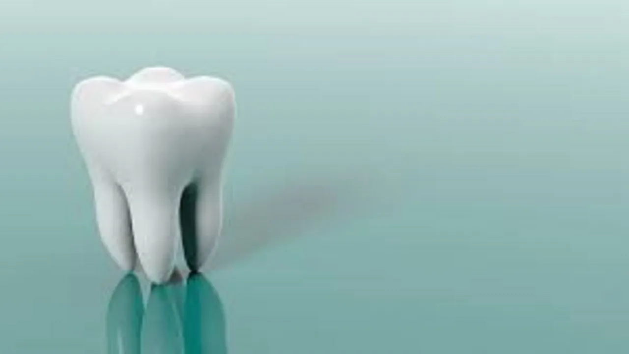 teeth