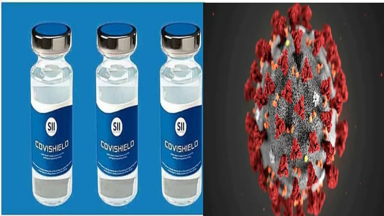 Covishield new