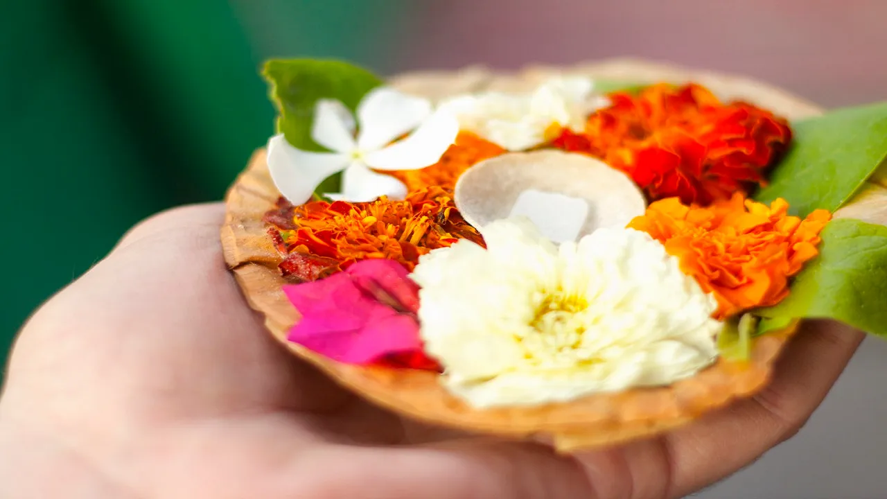 Vastu Tips For Dried Flower
