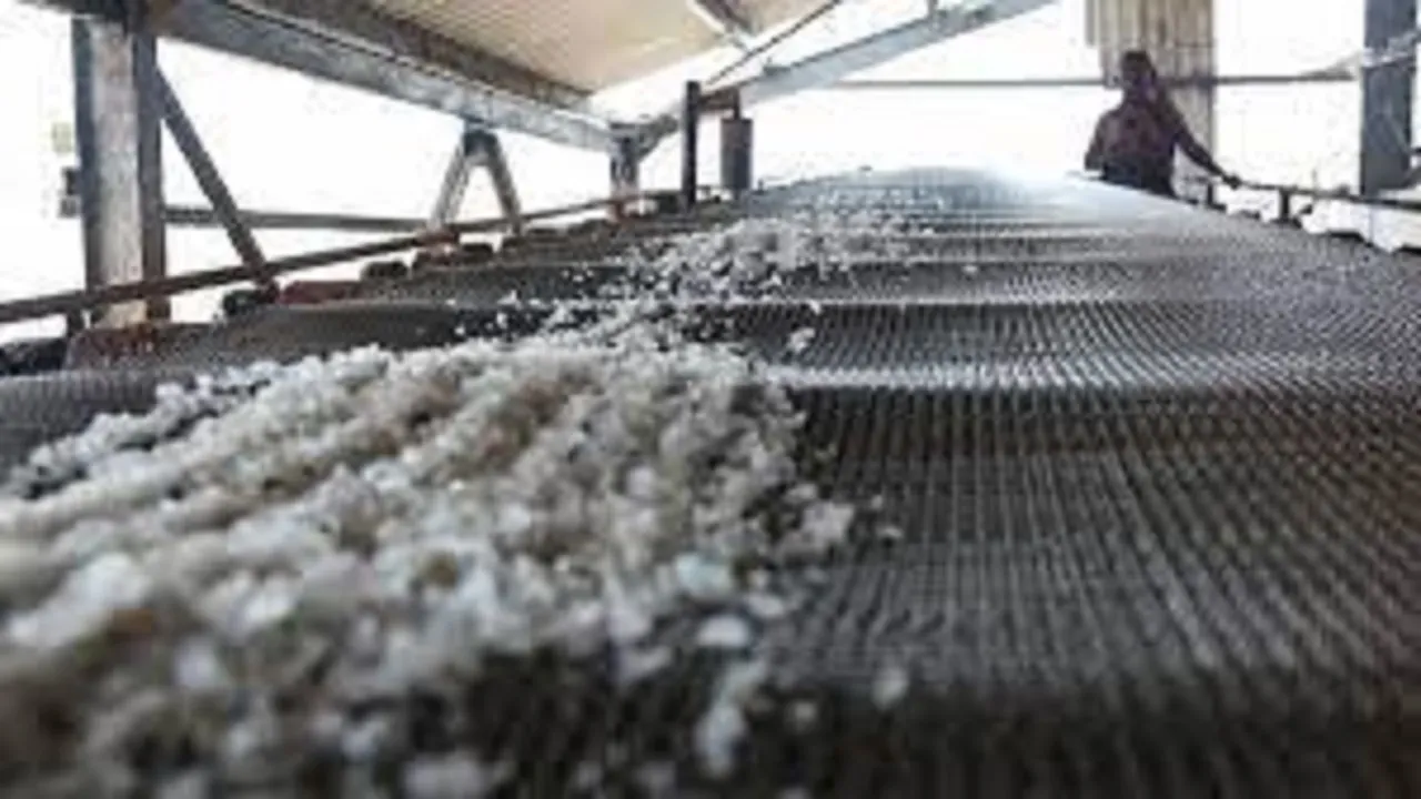 salt
