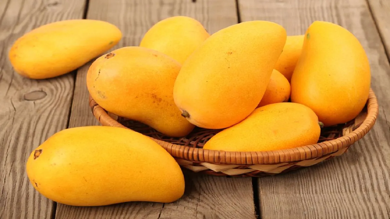 mango