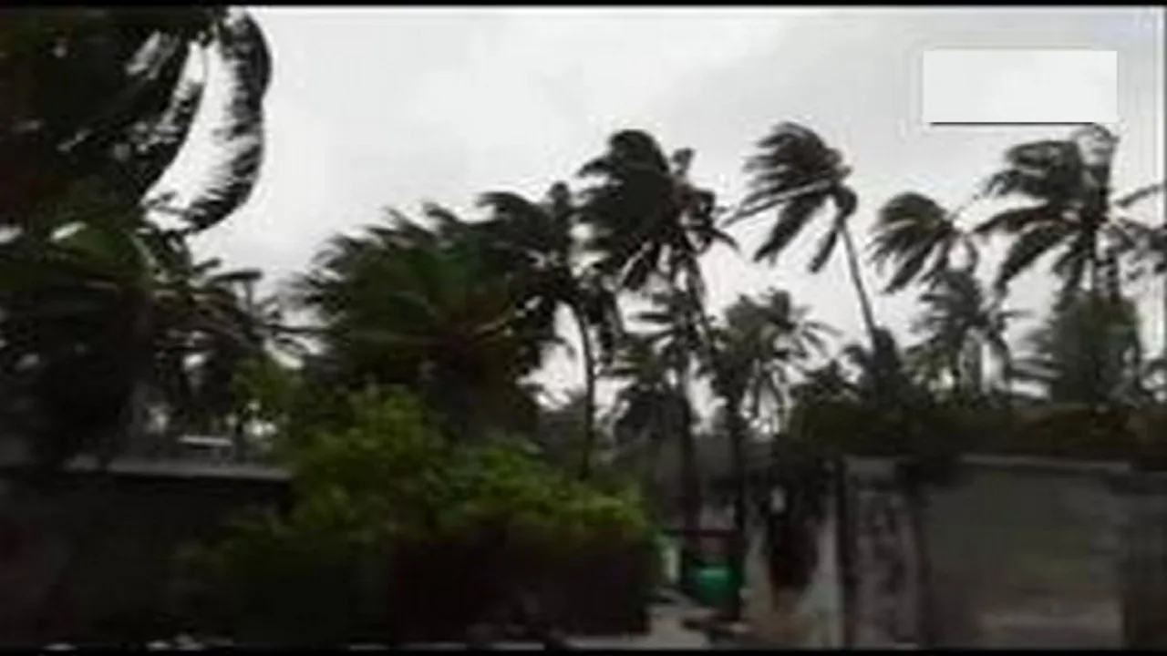 Cyclone