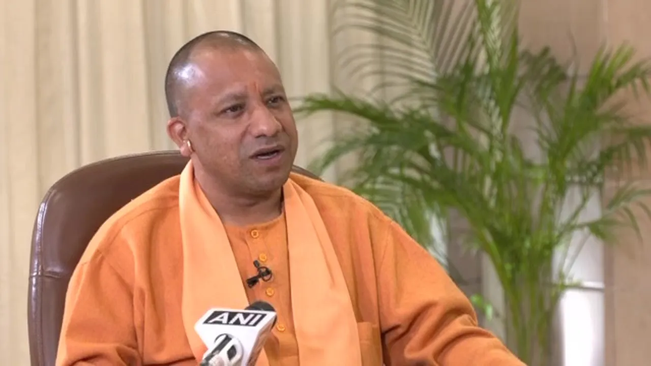 yogi