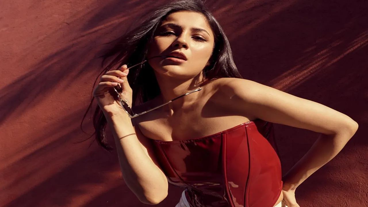 shehnaazgill