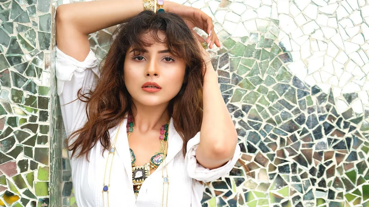 shehnaaz gill