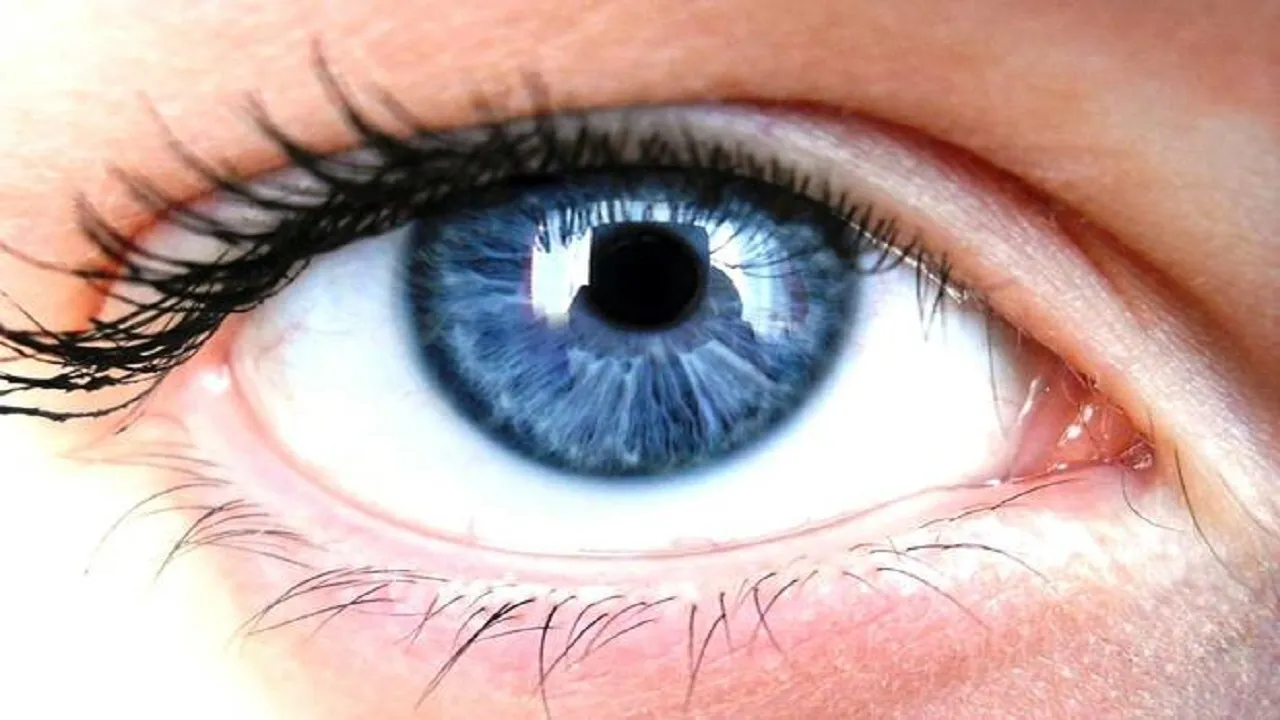 eyes