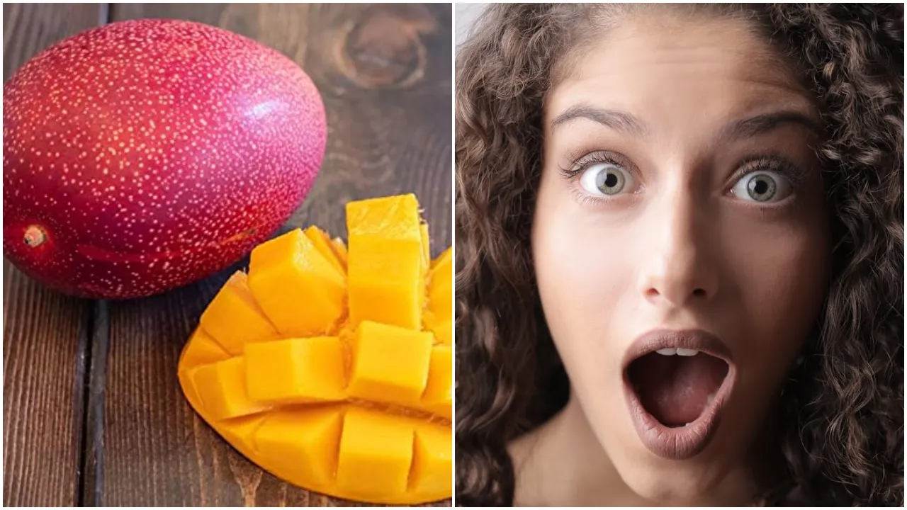Most Costly Mango In India