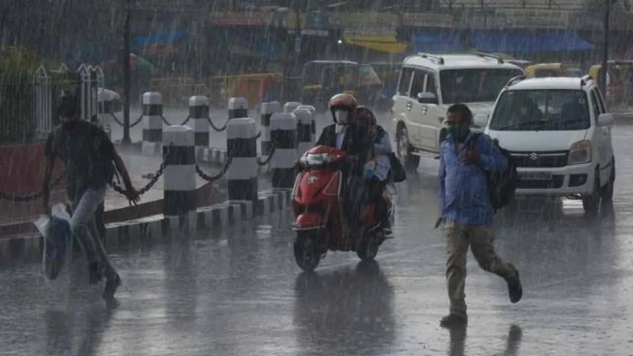Rain