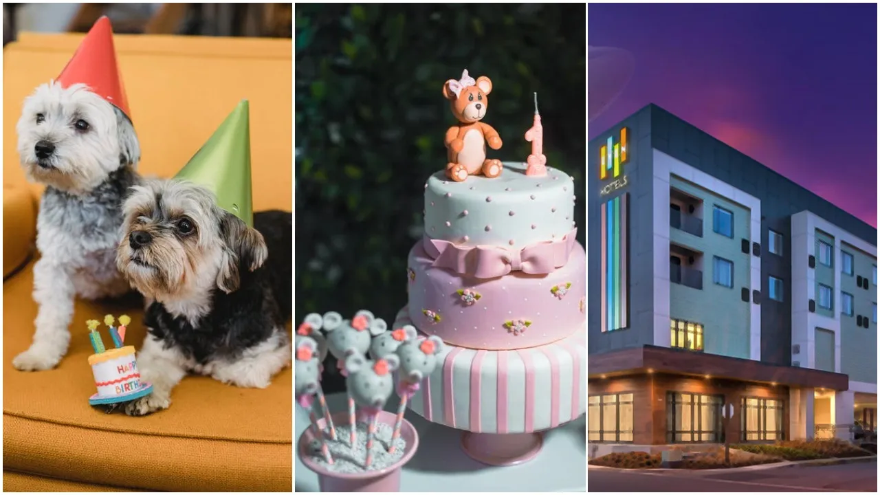 सांकेतिक तस्वीर Dog Birthday In Luxurious hotel