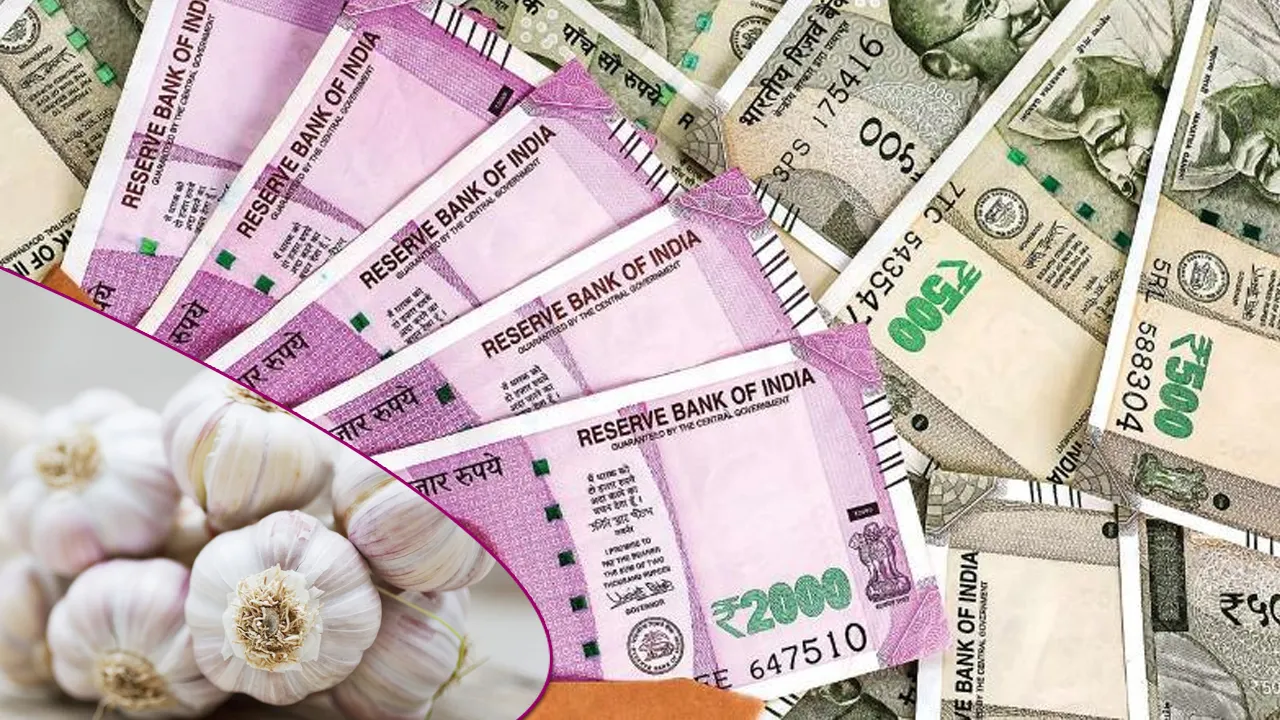 garlic paisa
