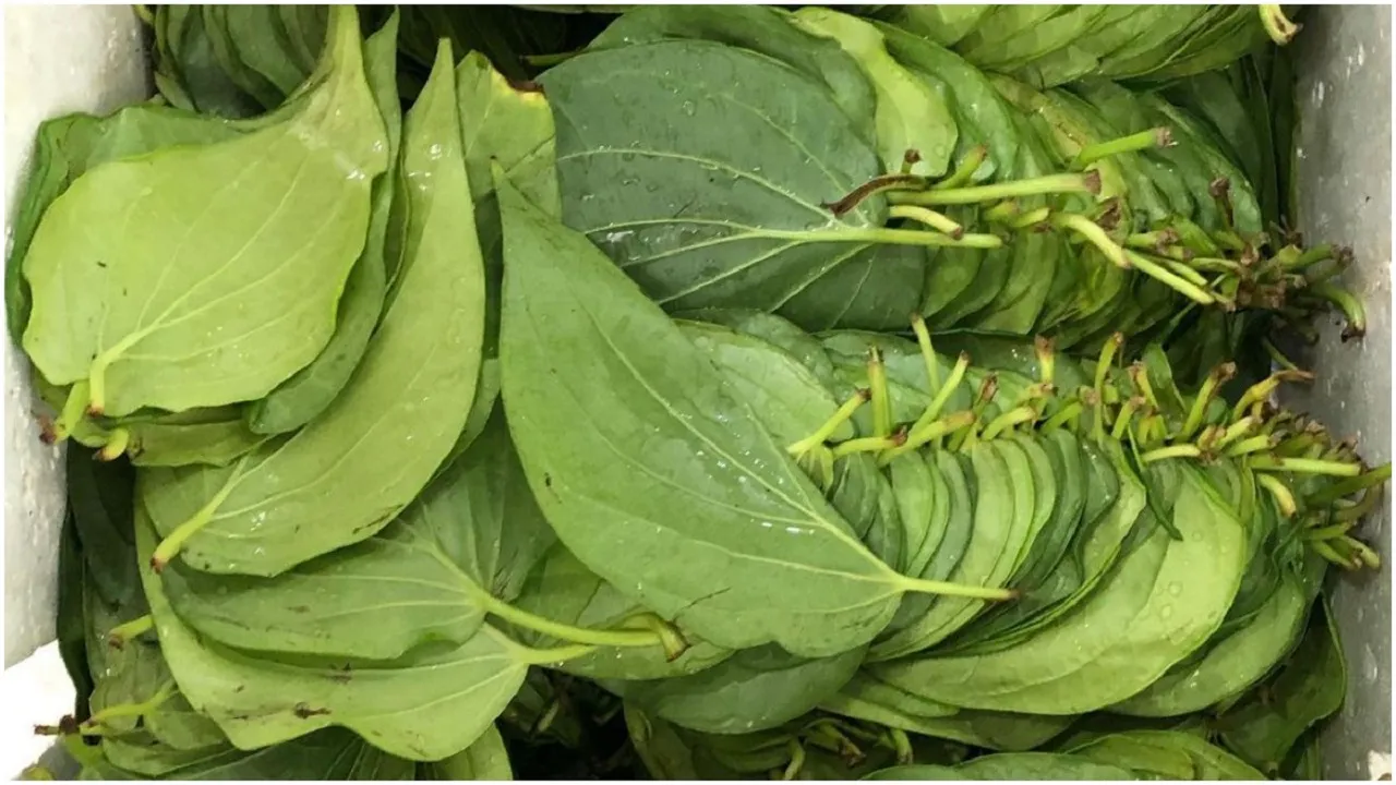 Paan Patta Upay
