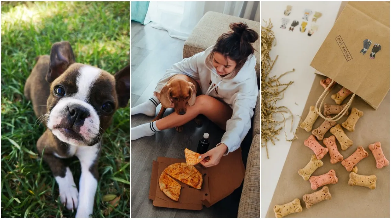 Dog Food Taster Job