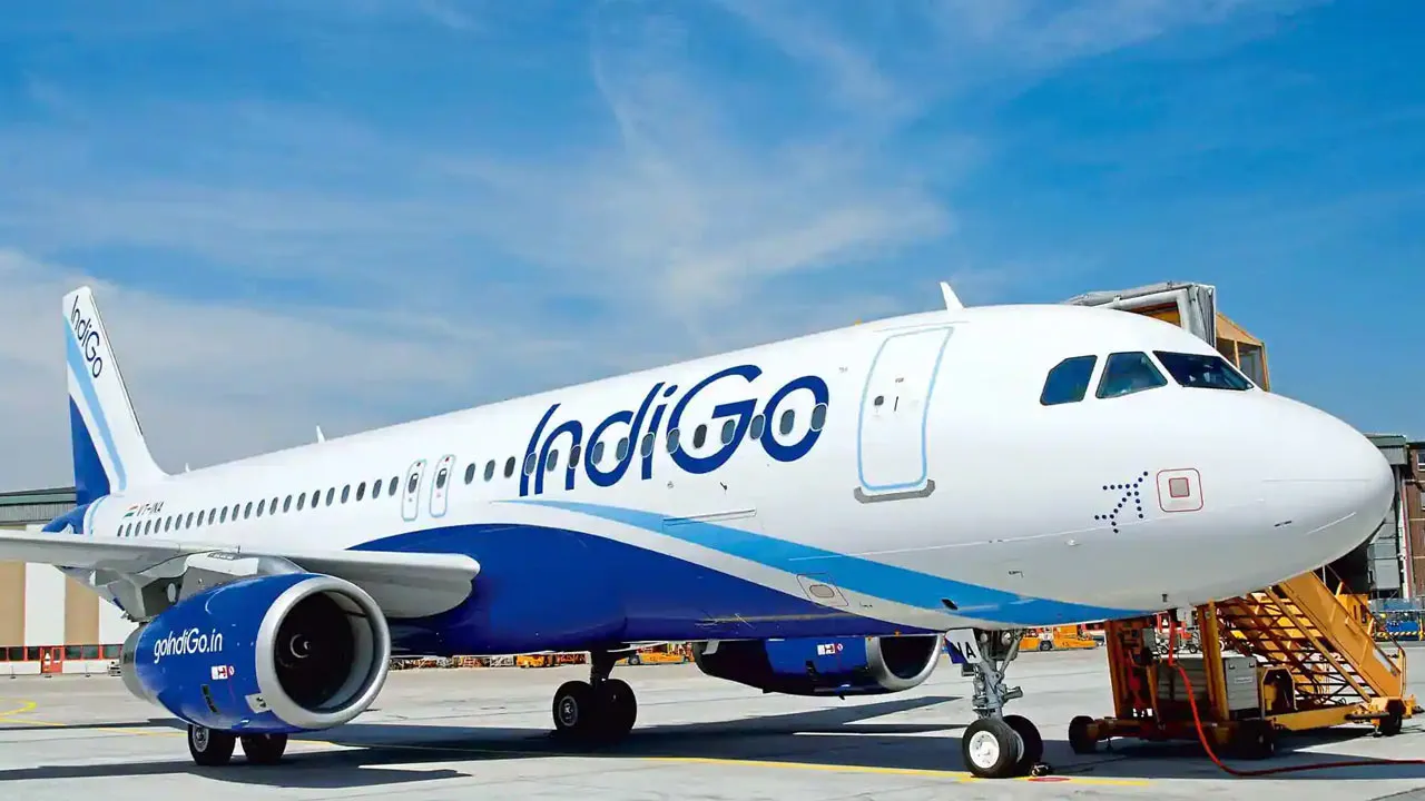indigo