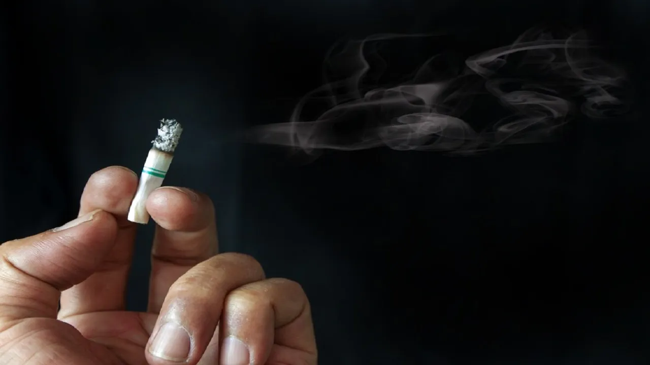 tobacco