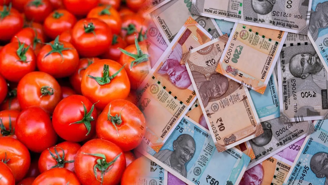 Tomato Price Hike