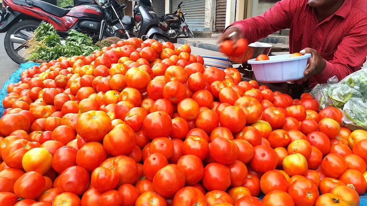 Tomato Price Will Come Down Soon