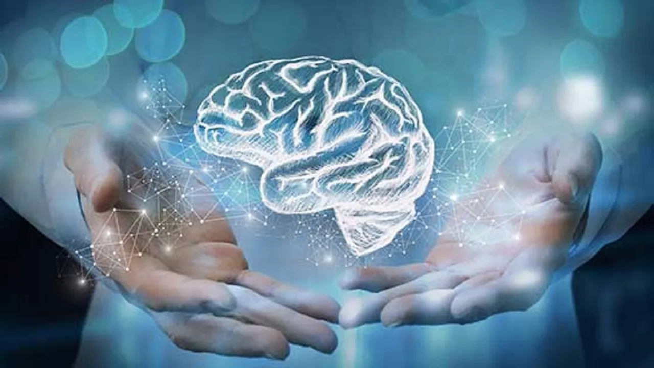 brain