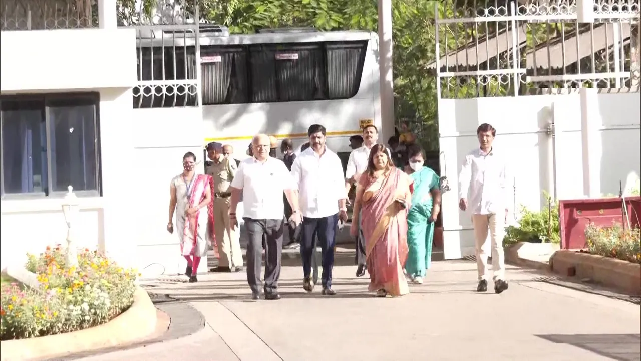 MLAs