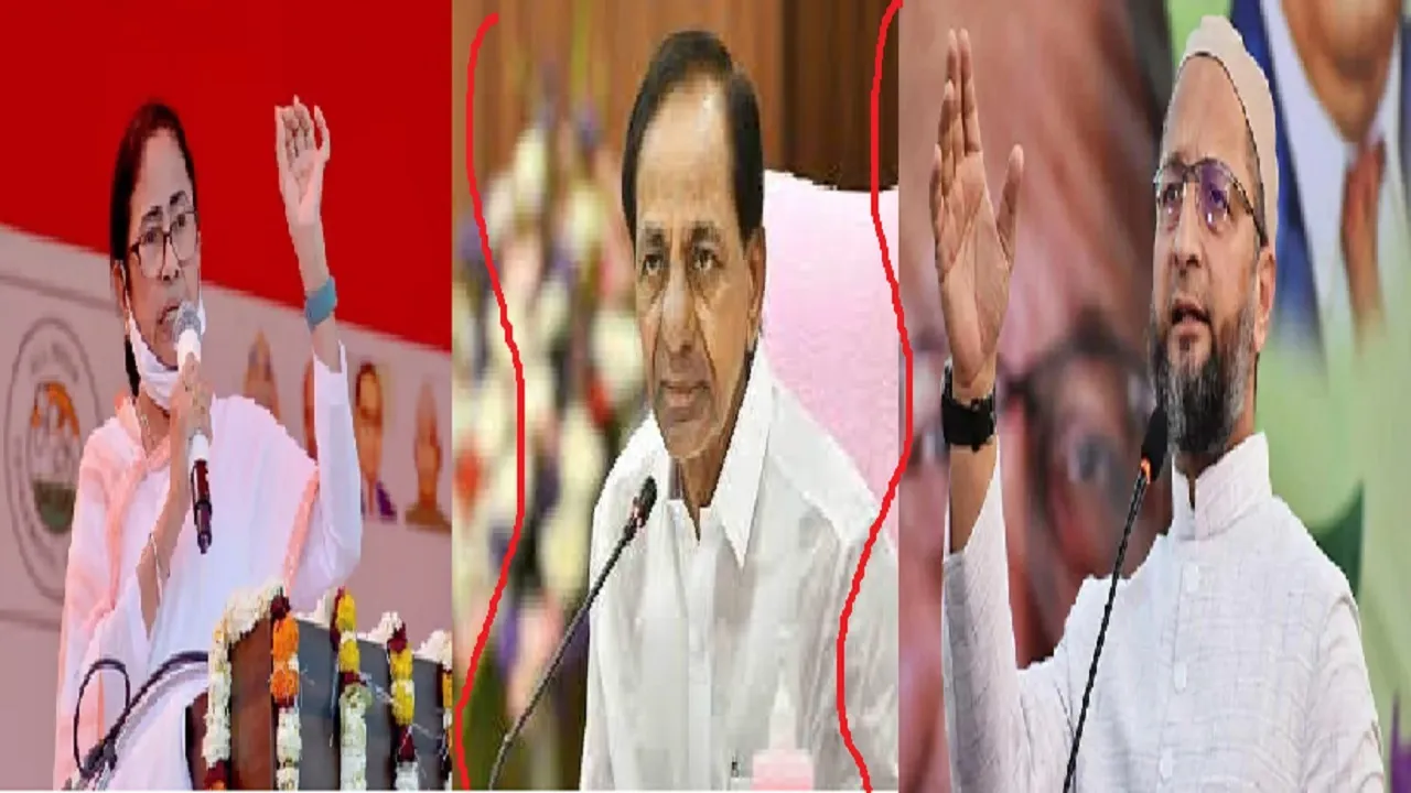 Mamta