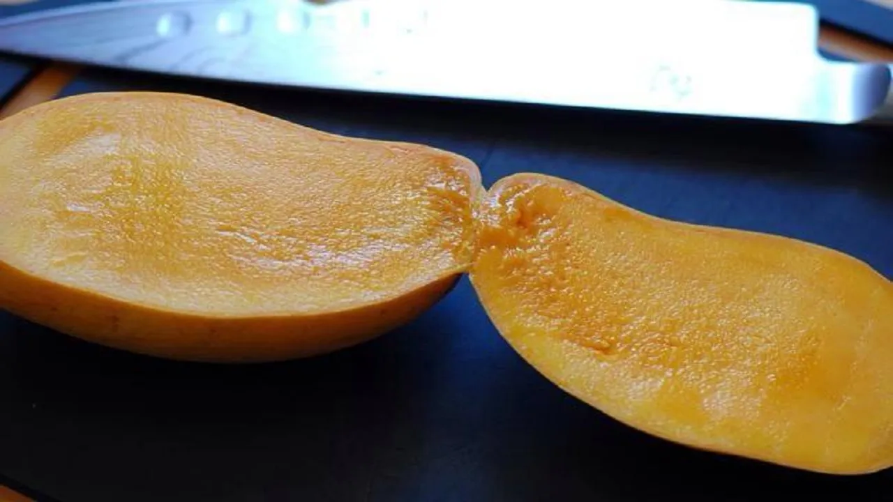 aam