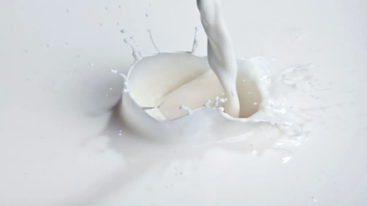 milk