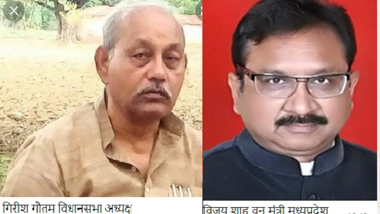 MP news