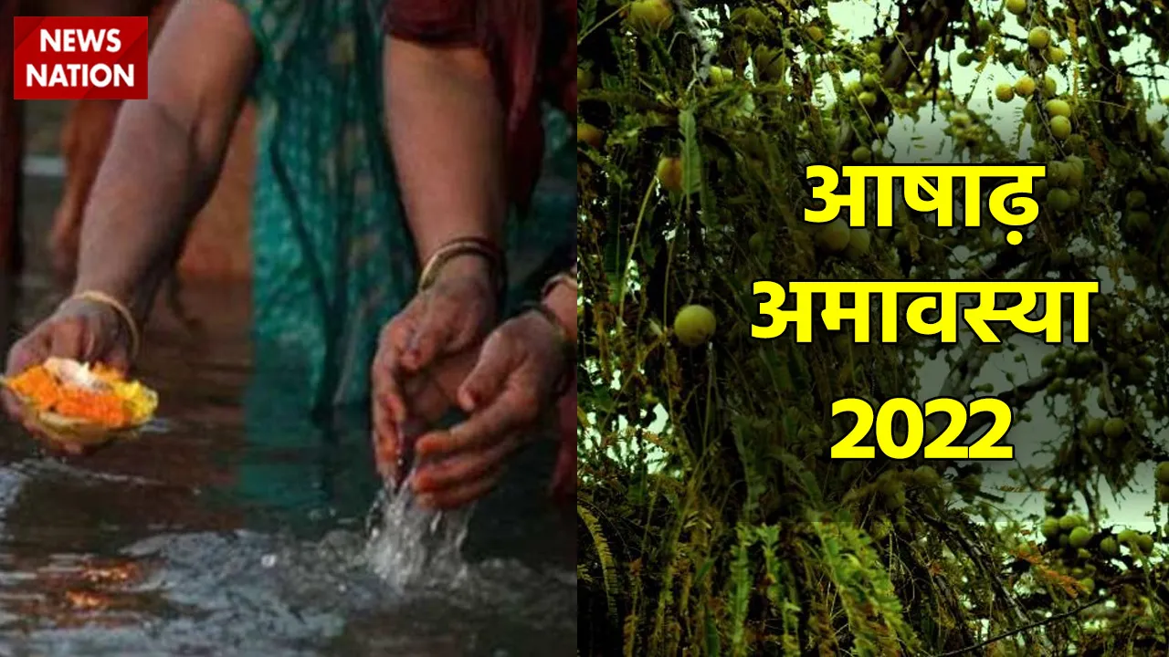 ashadh amavasya 2022 amla plant