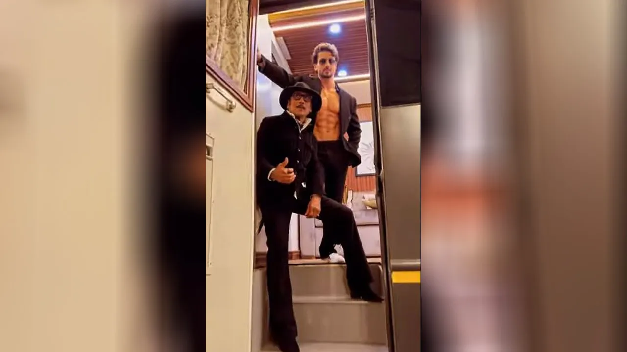 tiger video2