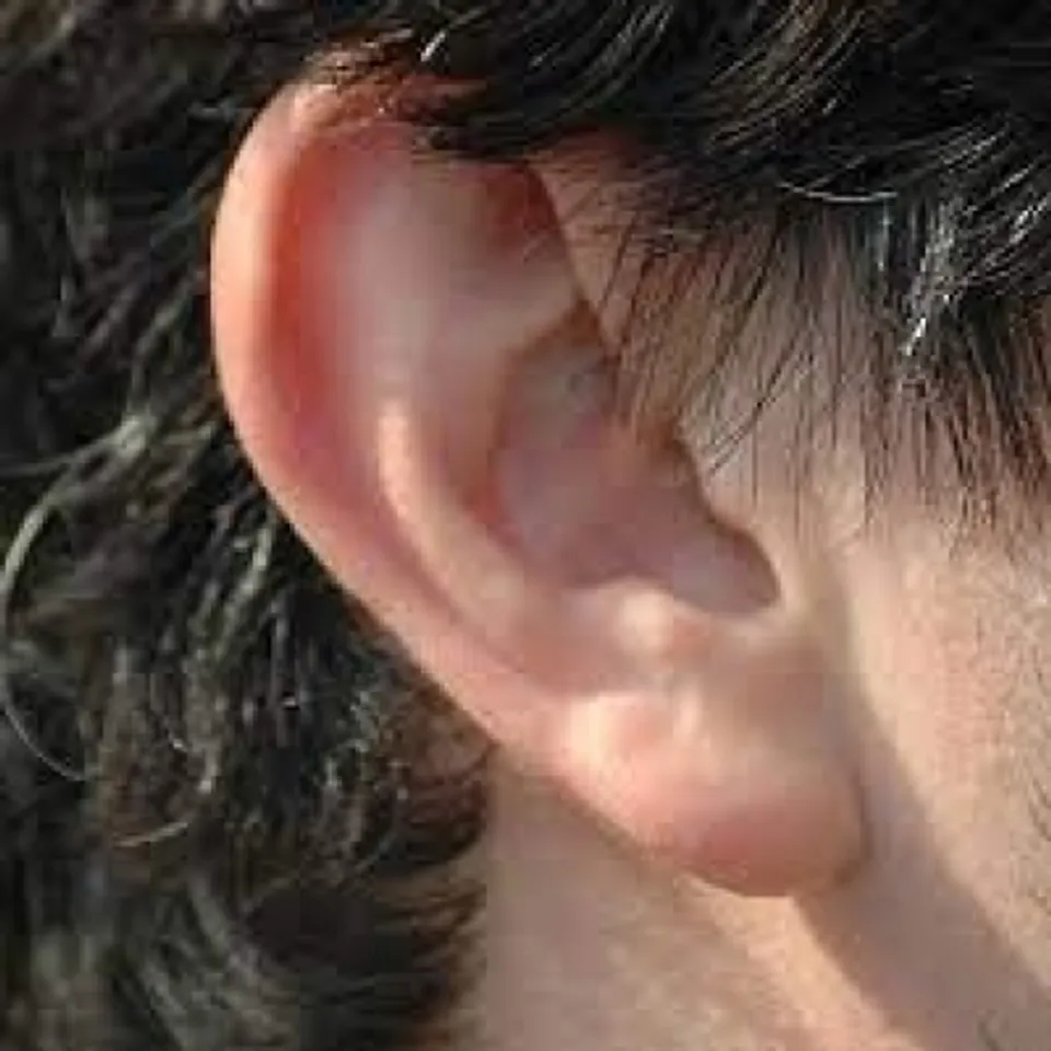 An ear