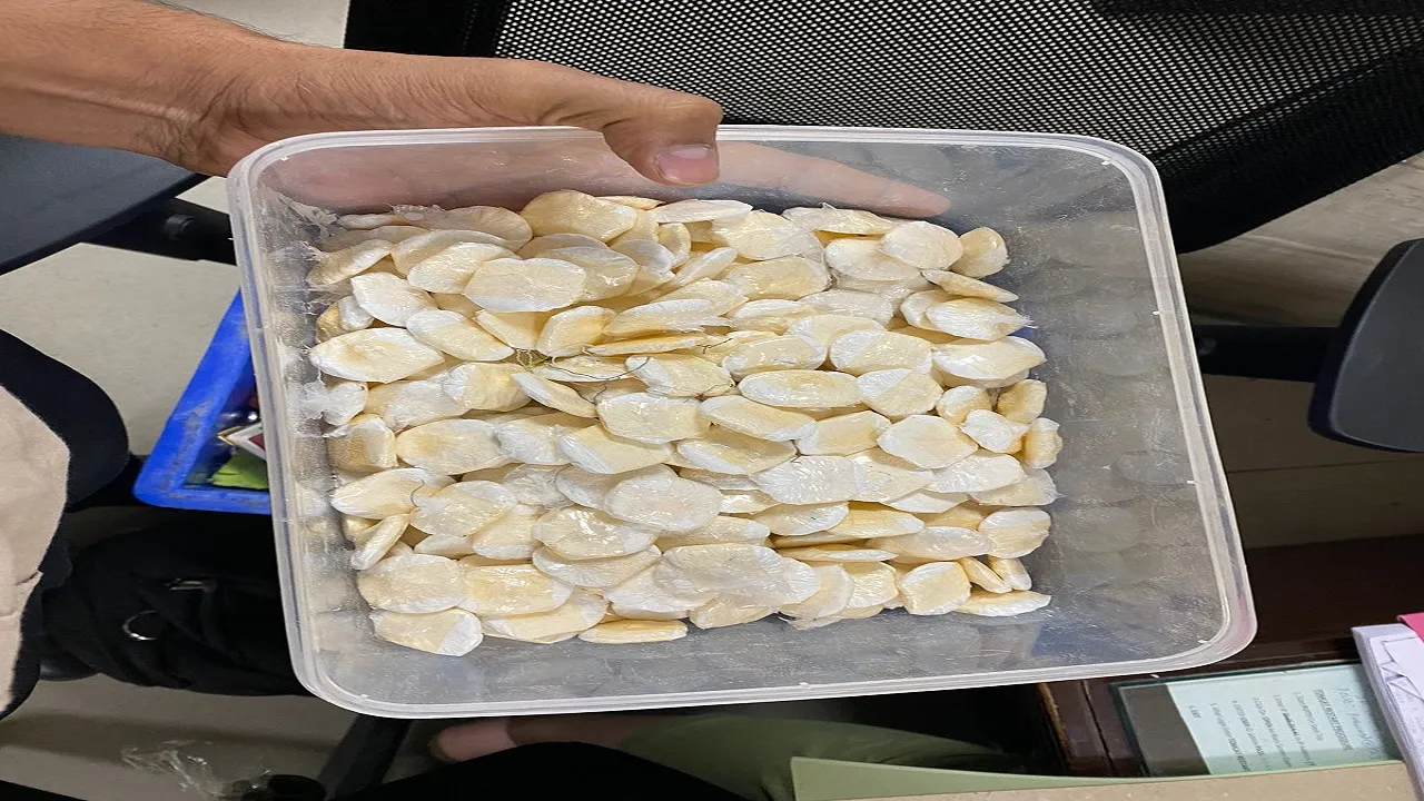 Drug Smuggling