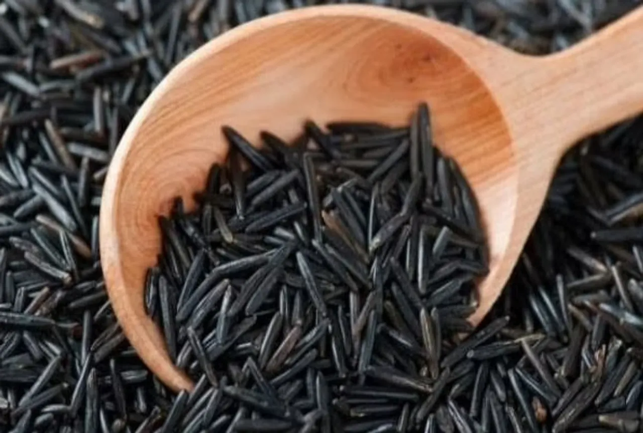 blacksaltrice