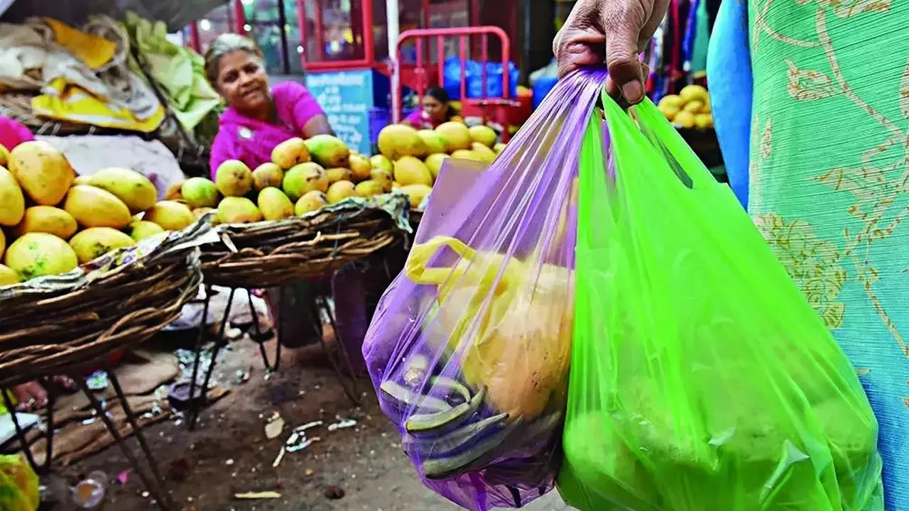 single use plastic ban
