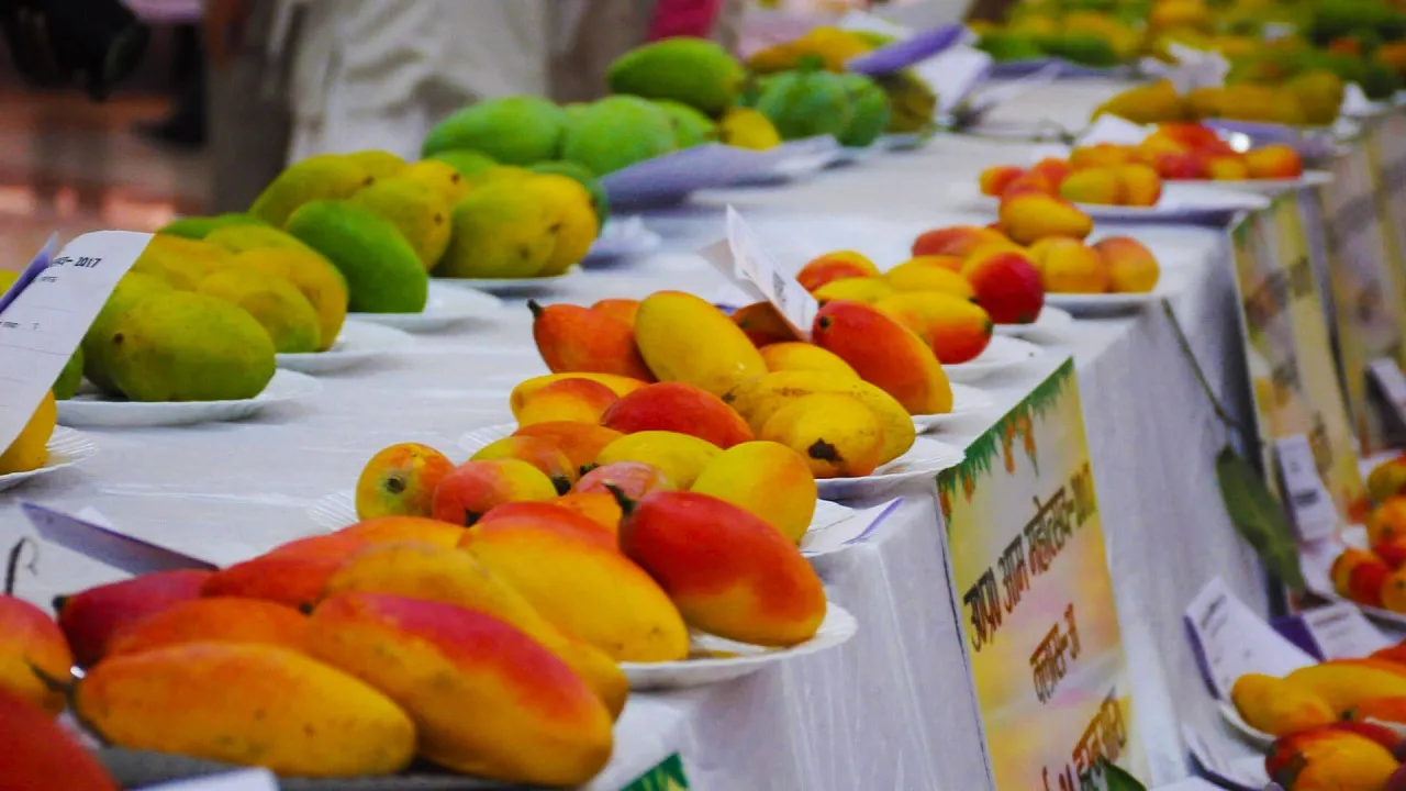 mango