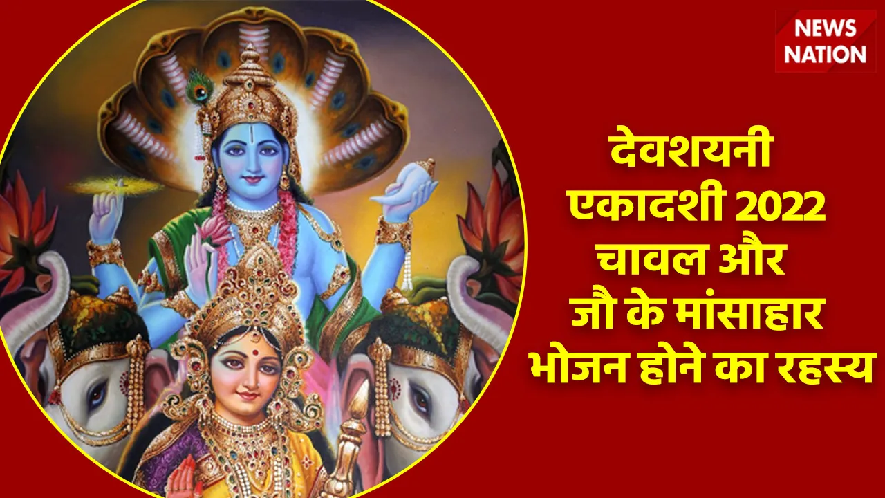 Devshayani Ekadashi 2022 Dharmik and Scientific Mystery Of Rice