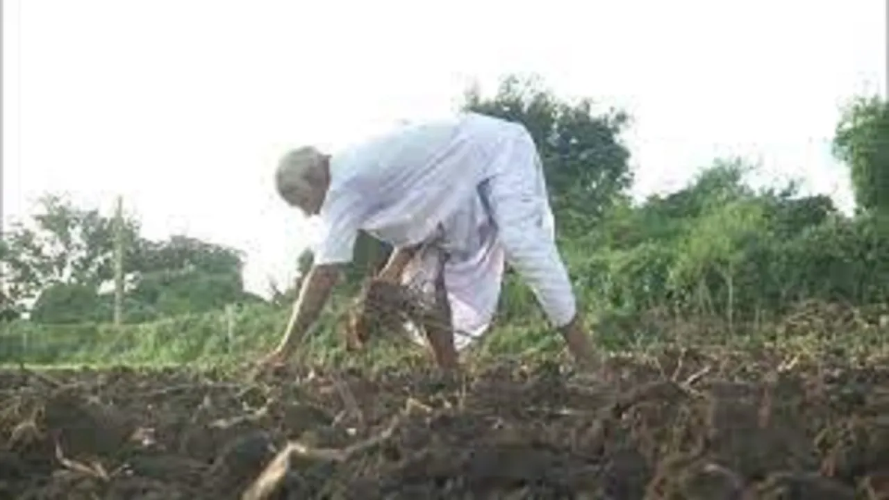 farming