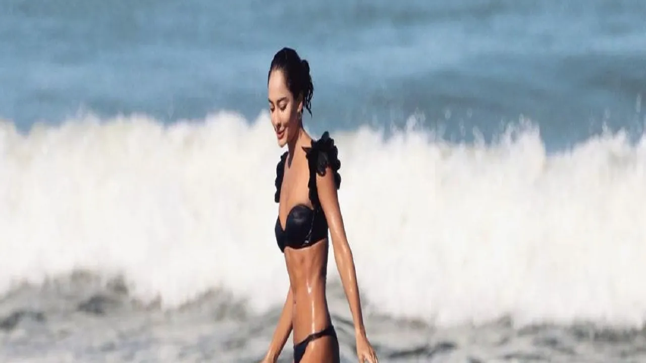 lisahaydon 2