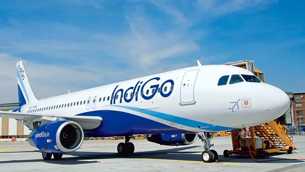 IndiGo